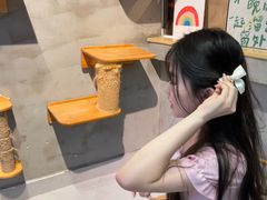 -Heymao猫咖.咖啡厅(东门店)
