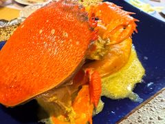 -吉兆·料理(红梅南路店)