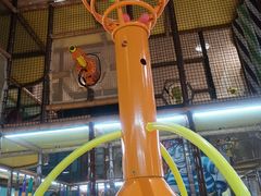 -蒙特利亲子乐园