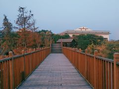 -五缘湾湿地公园
