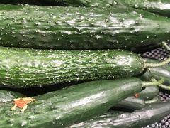 黄瓜-西北农副产品中心批发市场(广安路店)