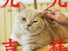 -Catmate·猫肥家润(金润铂宫店)