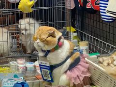 -吴山路夜市