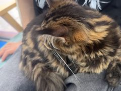 -博特宠物医院24h犬猫全科.骨科·异宠