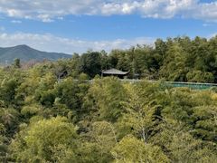 -陶祖圣境风景区