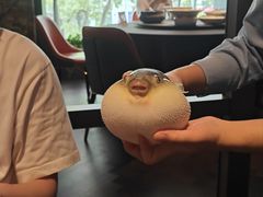 -肆月河豚·淮扬菜·湘菜(华天店)