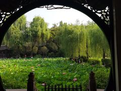 -桂湖森林公园