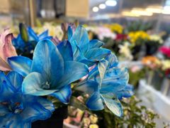 -怡花宜木鲜花店(朝阳路店)