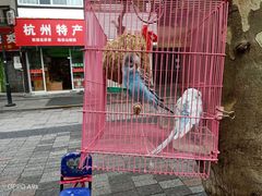 门面-江南春(中山中路店)