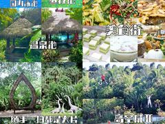 -呀诺达热带雨林