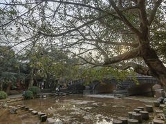 -黄龙溪古镇