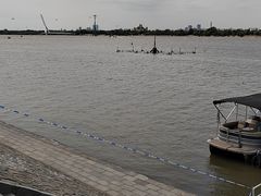 -人民防洪胜利纪念塔