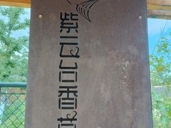 -紫云台香草园