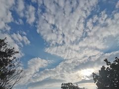 -林丰温泉度假山庄