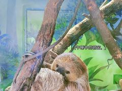 -杭州野生动物世界