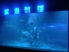 -邯郸海洋世界