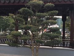 -花溪公园