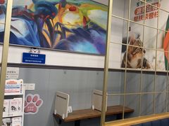 -伟伟宠物医院·瑞派猫友好医院·猫科(光谷店)