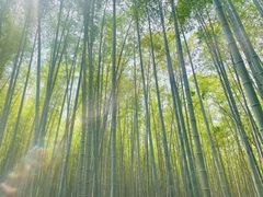 -苏州环秀晓筑养生度假村