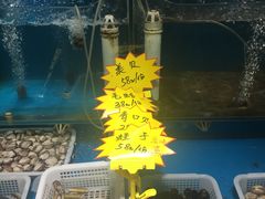 大堂-九层海鲜塔(市南店)