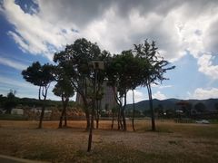 -太湖龙之梦