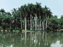 -中国科学院西双版纳热带植物园