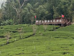 -优游吧斯邹族文化部落