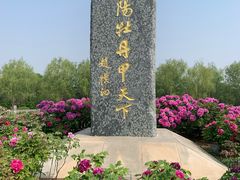 -洛阳市隋唐城遗址植物园