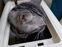 -美联众合动物医院·24h转诊中心