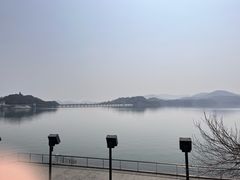-天乐农家鱼头王(天目湖店)