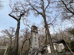 -灵谷景区
