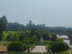 -张坝桂圆林公园