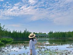 -白鹭湾湿地公园