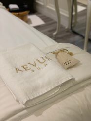 -奥斯芬欧系贵族SPA