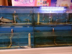 -津沽小院(天津之眼店)
