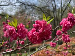 -南京市江宁方山
