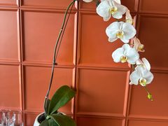 -浩运·海鲜青岛菜·海胆水饺(石老人店)
