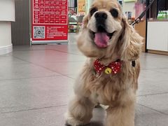-全心全意动物诊疗中心医院(北苑店)