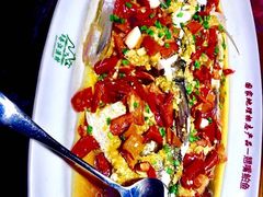 翘嘴鲌鱼-丹江渔村(望京店)