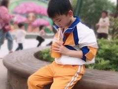 -美的鹭湖探索王国