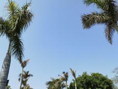 -椰风寨