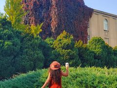 -辽宁大学(崇山校区)