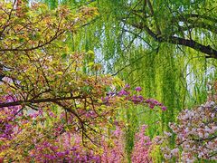 -莲花池公园