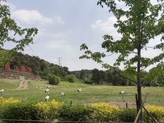 -沈阳森林动物园