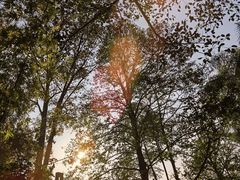 -广州市白云山风景名胜区