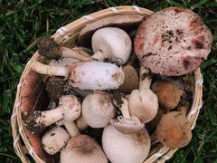 -汉长安城未央宫国家考古遗址公园