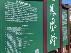 -北京凤凰岭