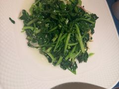 -老吉堂上海本帮菜(工体店)