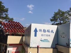 -广州市流溪河国家森林公园