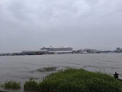 -吴淞炮台湾湿地森林公园烧烤区